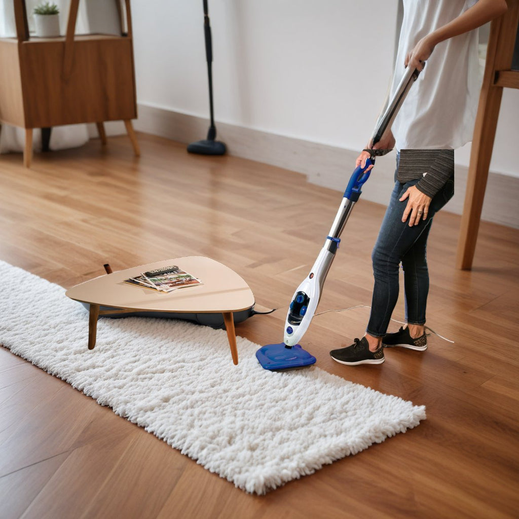 Steam mop a 497 LEU