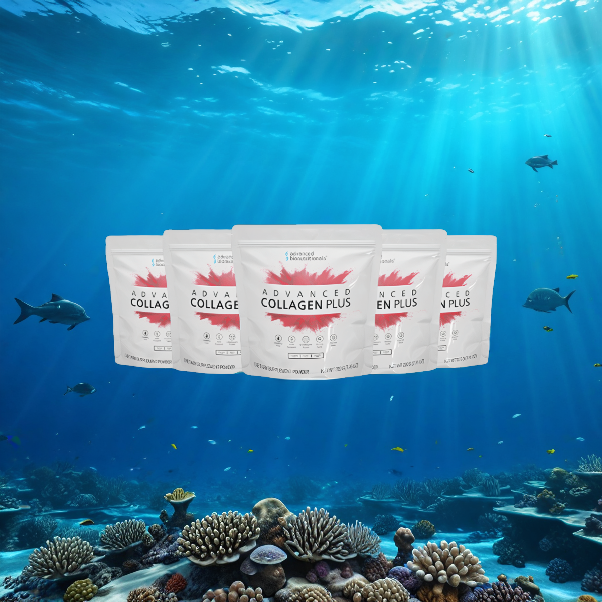 Advanced Collagen Plus (6 Bags)