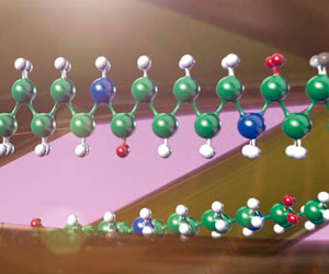 Dura Sheers 3x a 199 LEU