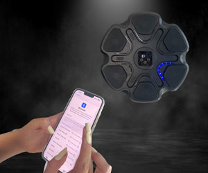 Boxing Music Box a 298 LEU