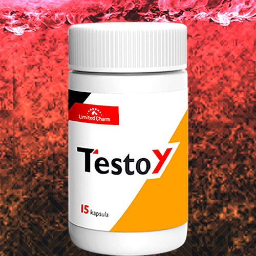 TESTOY